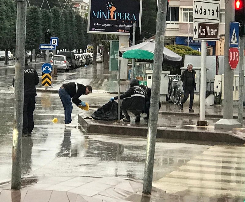 para.jpg