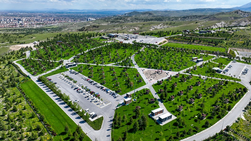 park.jpg